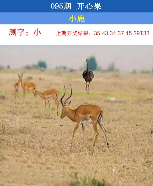 图片加载中...