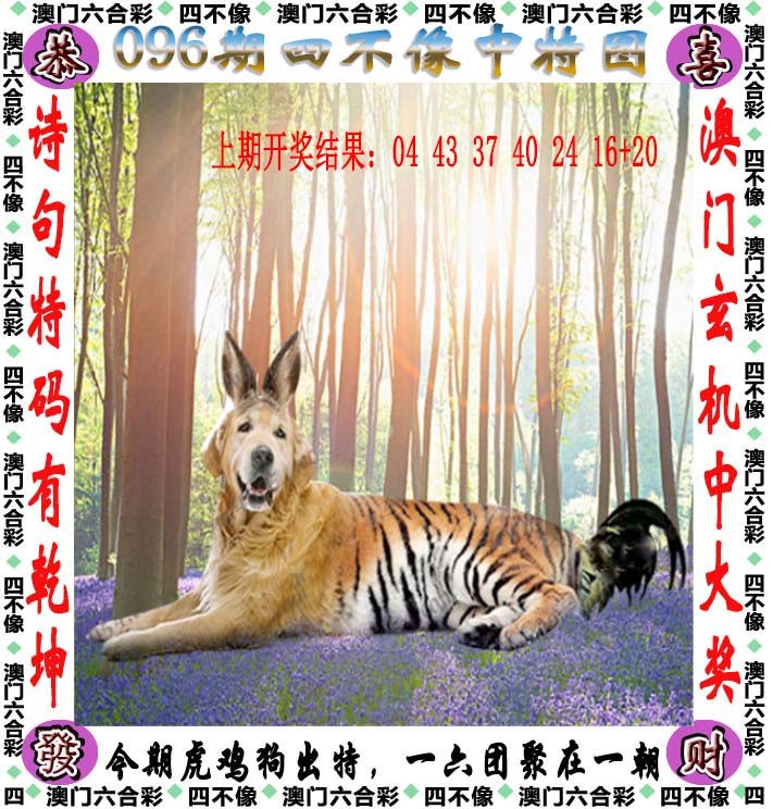 图片加载中...