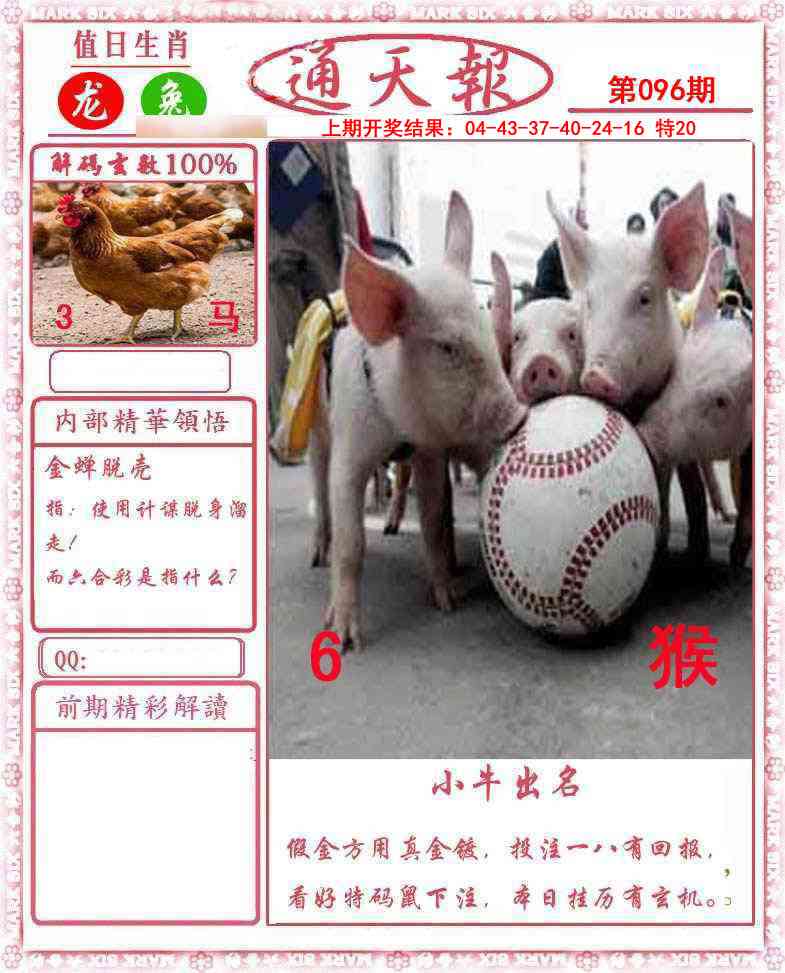 图片加载中...