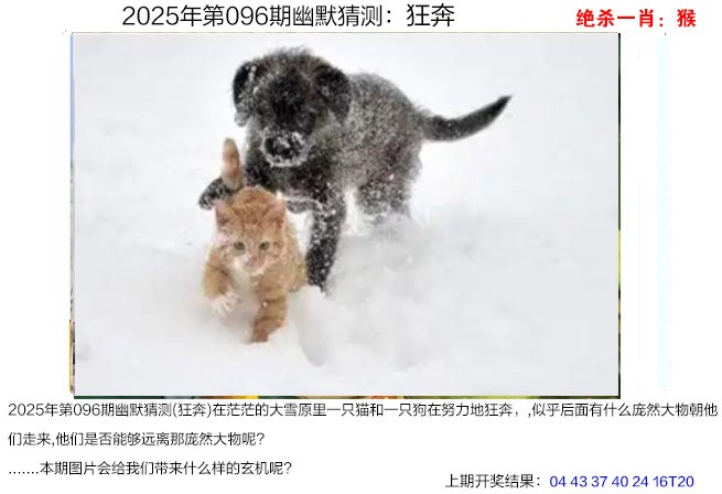 图片加载中...