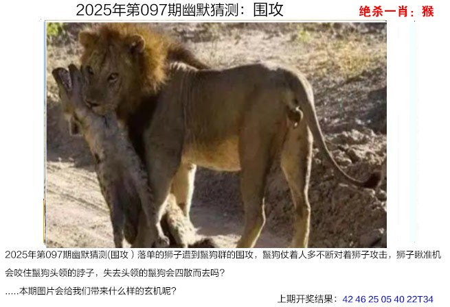 图片加载中...