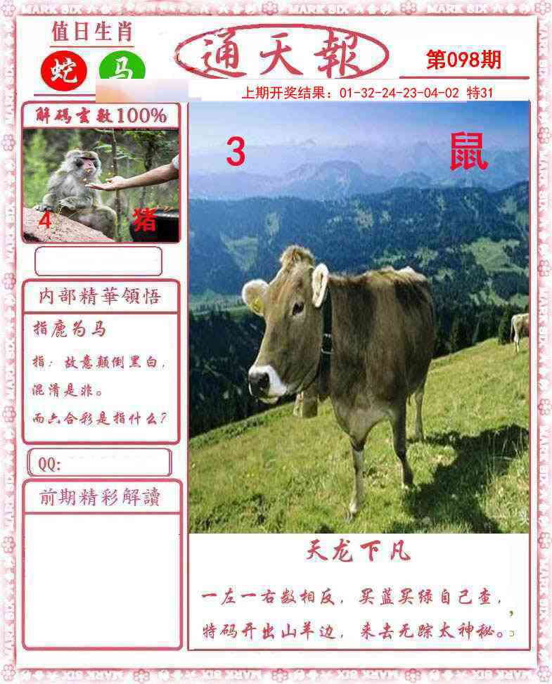 图片加载中...