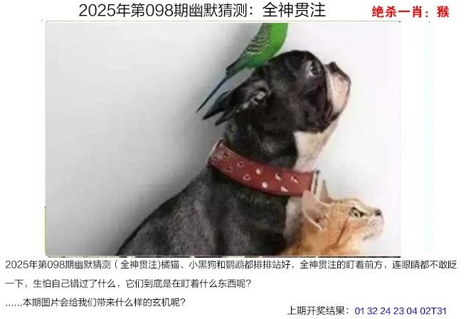 图片加载中...