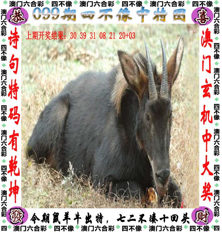 图片加载中...