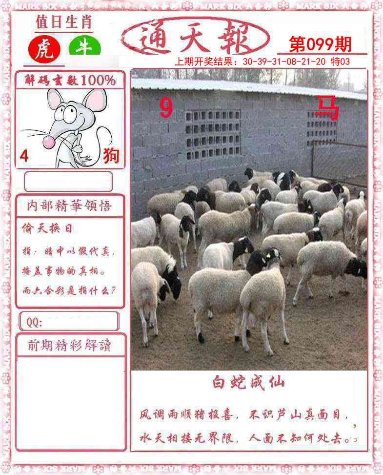 图片加载中...