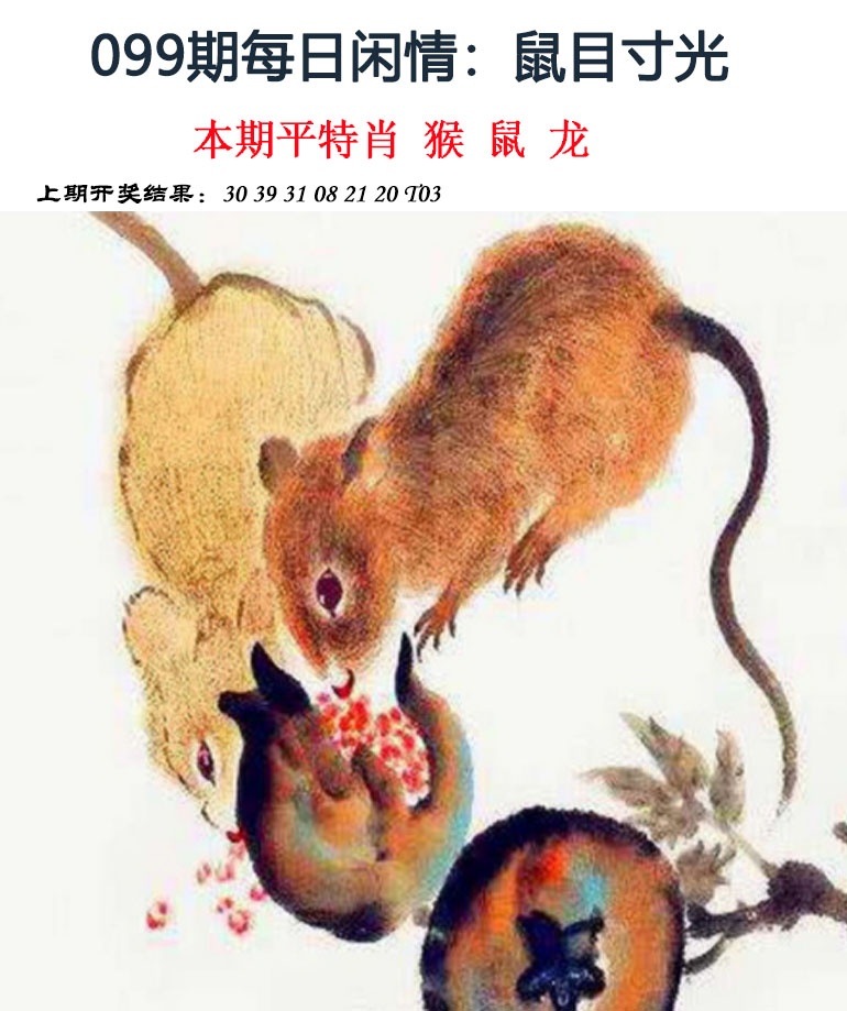 图片加载中...