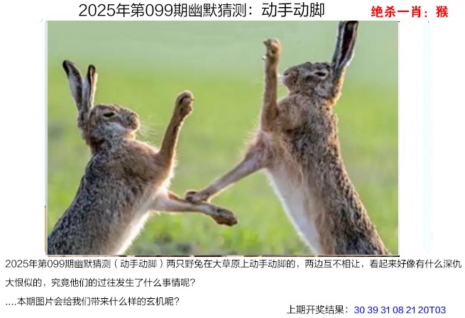 图片加载中...