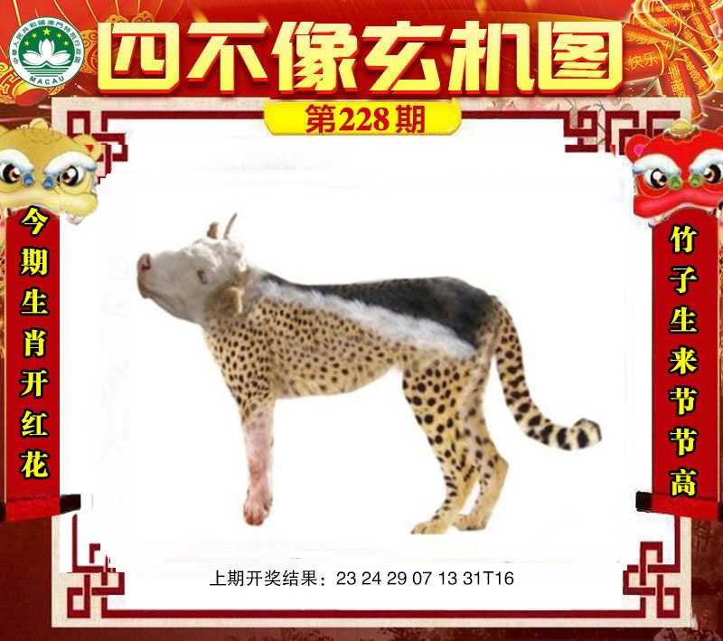 澳门小鱼儿