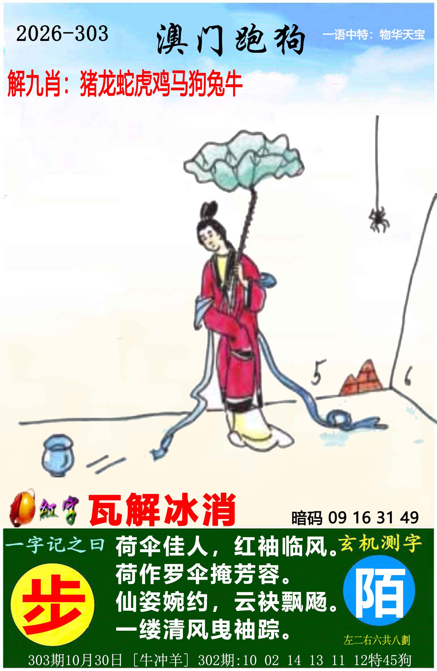 澳门小鱼儿