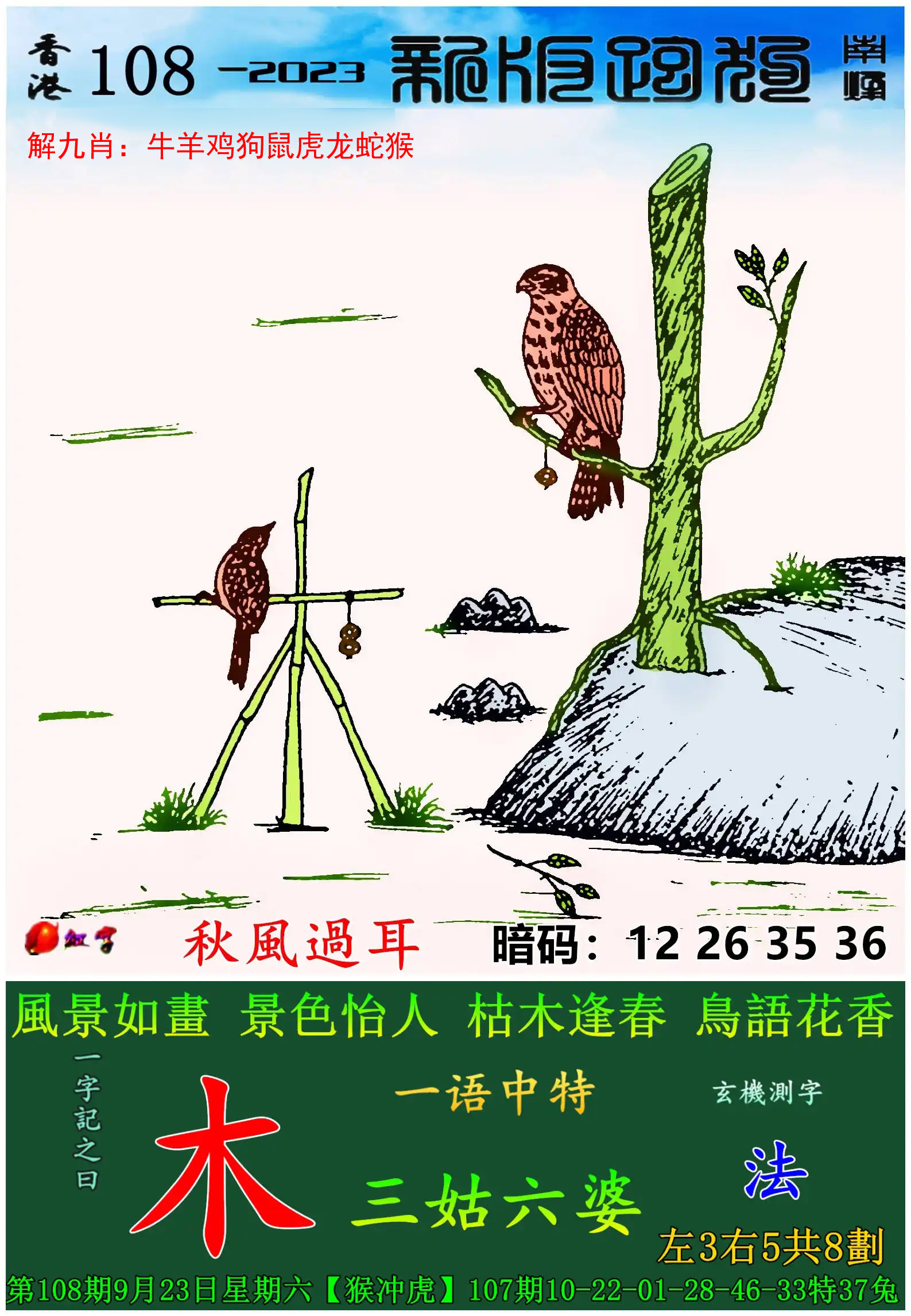 美女报码更新中