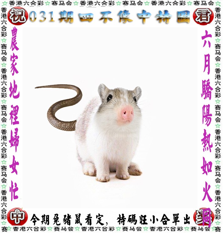 香港四不像更新中