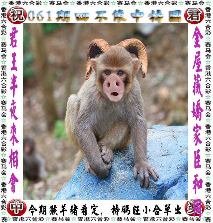 四不像图更新中