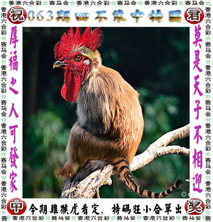 四不像图更新中