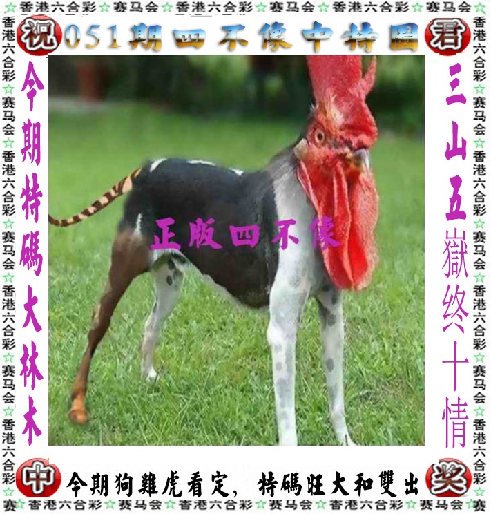 更新中...