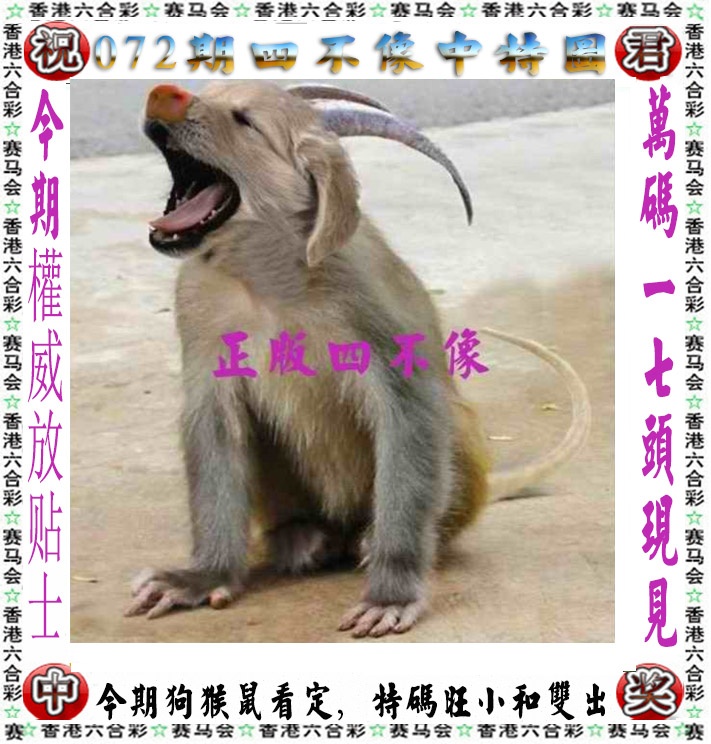 更新中...