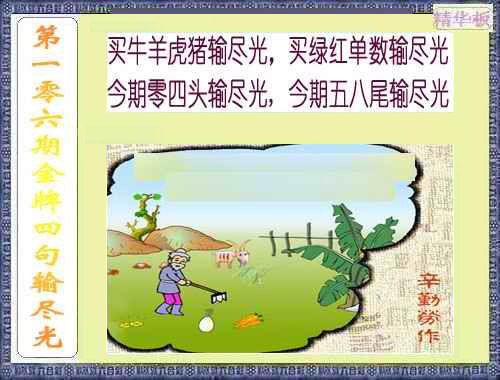 彩富网手机站