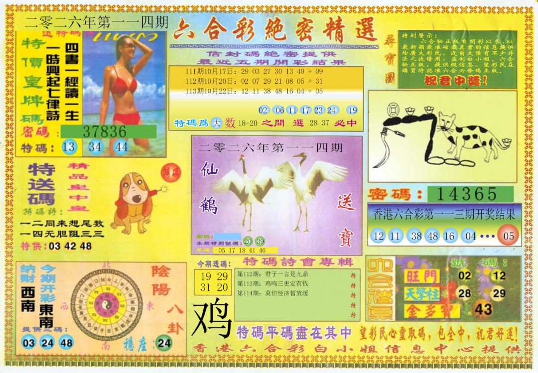 彩富网手机站