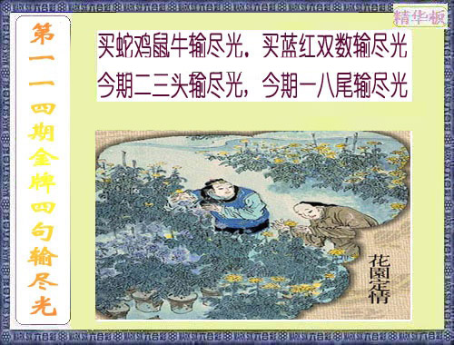 彩富网手机站