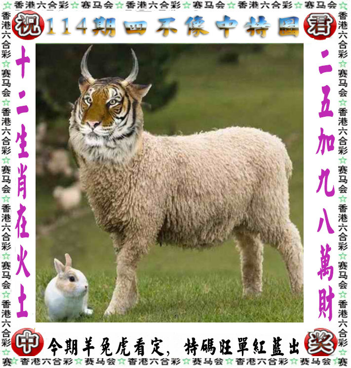 创富工作室 -金多宝正版传真!