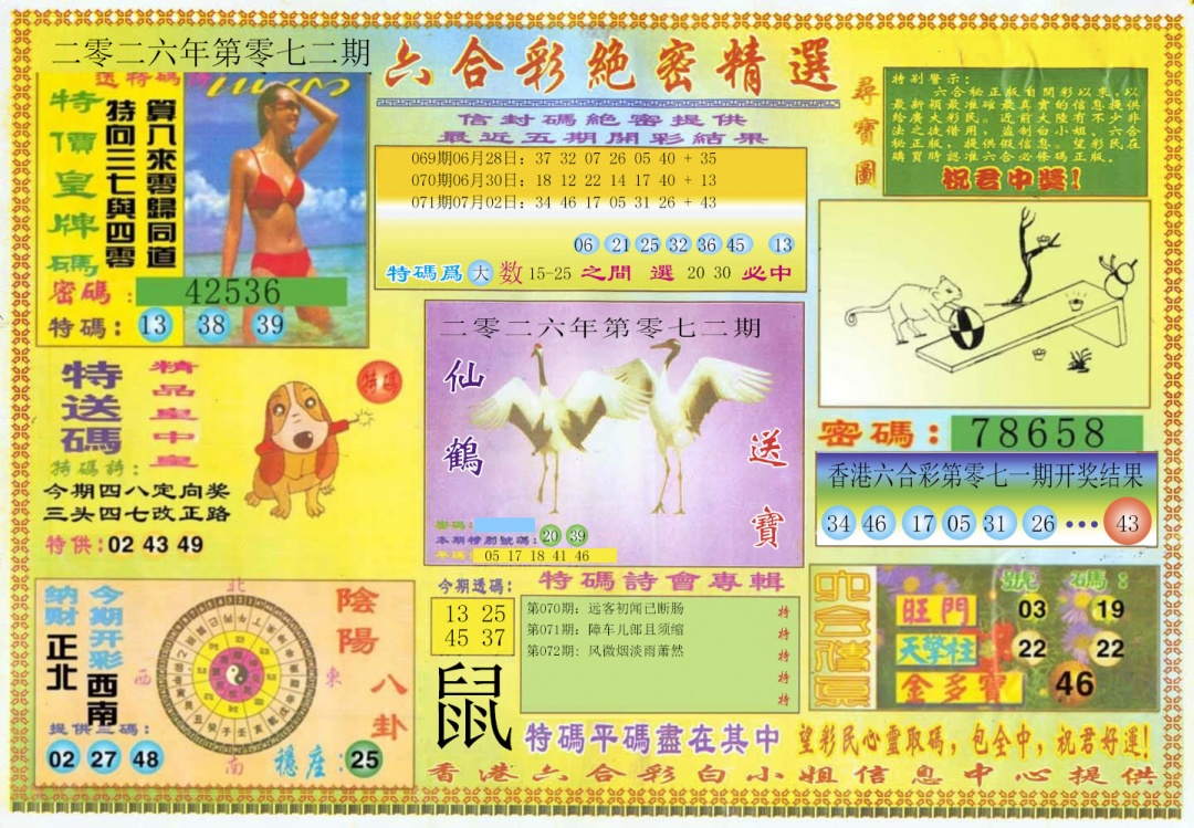 彩富网手机站