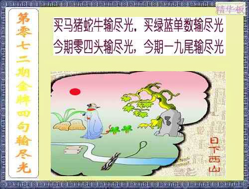 彩富网手机站