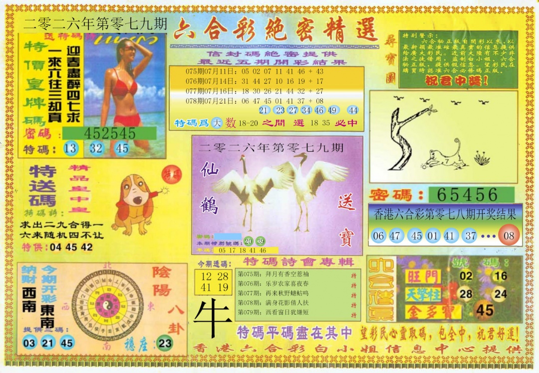 彩富网手机站