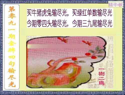 彩富网手机站