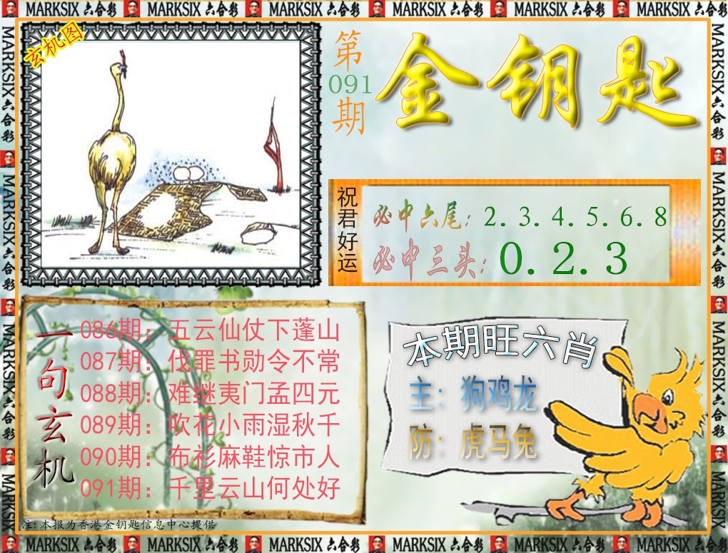 彩富网手机站